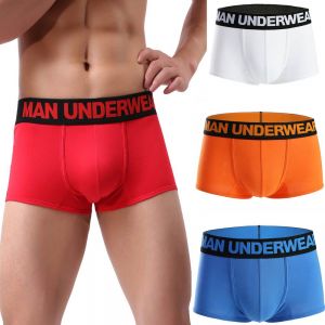בוקסרי Underwear במגוון צבעים